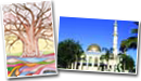 Post Cards